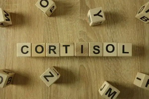 The Hidden Connection: How Stress Shapes Your Fitness and Body Composition 2 Image saying "Cortisol" and how stress Twickenham impacts your wellbeing and bodies shape